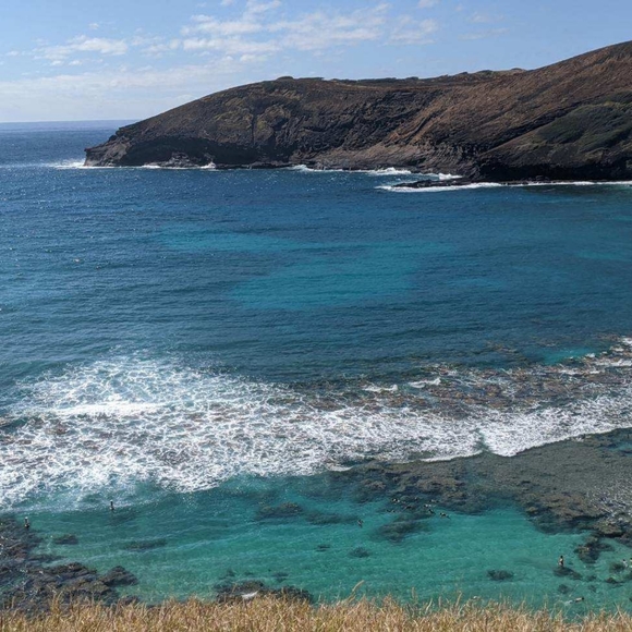 Meet your Posher, Joseph - Picture 2 of 7